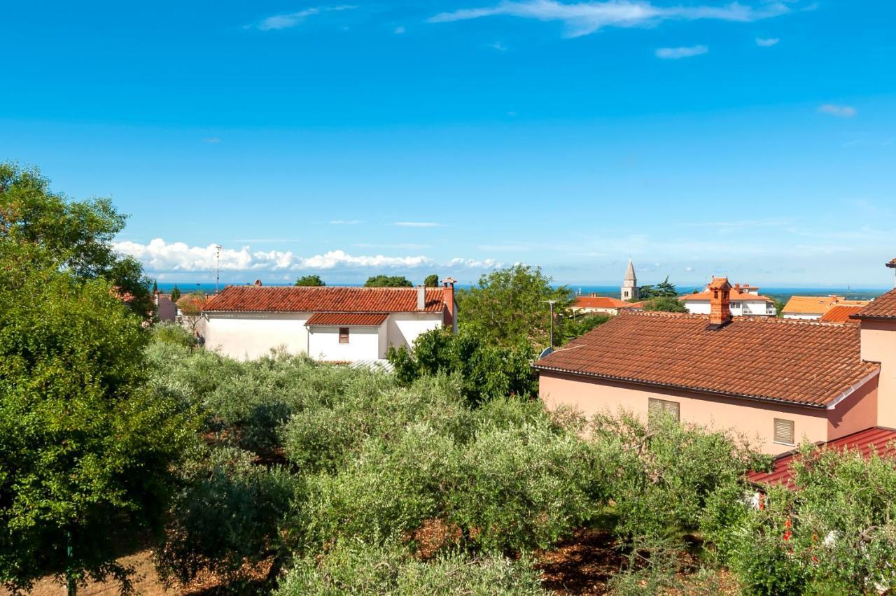 Villa Baraka With Private Pool Near Rovinj - Wiibuk Kanfanar Bagian luar foto